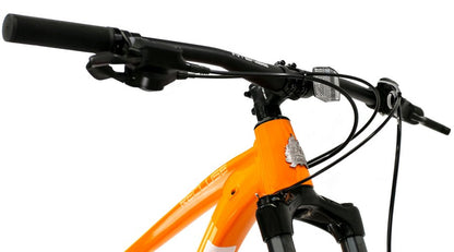 Intense Recluse 29 Trail Hardtail