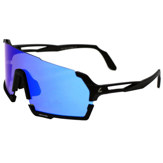 VisionPro Sunglasses