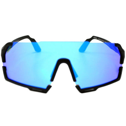 VisionPro Sunglasses