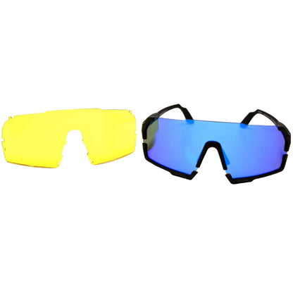 VisionPro Sunglasses